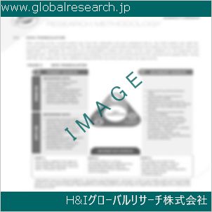 グローバルリサーチ調査資料のイメージ